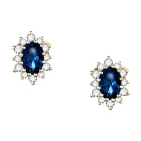 Live Diamond Earrings - LDY810070
