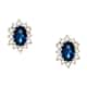 Live Diamond Earrings - LDY10070