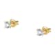 LIVE DIAMOND CLASSIC DIAMOND EARRINGS - LDY040141