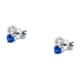BLUESPIRIT B-CLASSIC EARRINGS - P.25C901004700